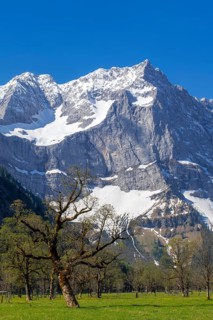 The Großer Ahornboden in spring, Großer Ahornboden, Karwendelgebirge, Tyrol, Austria