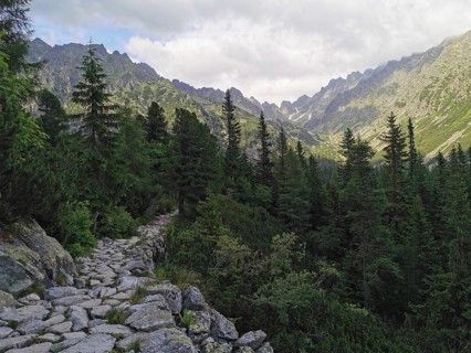 Rocky hiking trail, path through a densely wooded mountainside, with mountain panorama in the