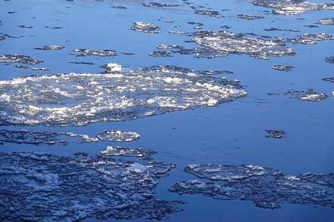 Elbe with ice floes, winter, Dresden, Saxony, Germany