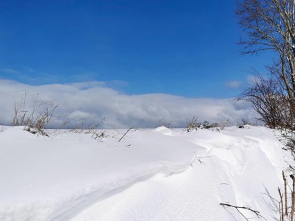 Winter landscape with snow-covered field, blue sky and visible deciduous tree, Franconian Forest