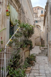 Narrow stone path with plants on a staircase, surrounded by old, weathered buildings in a