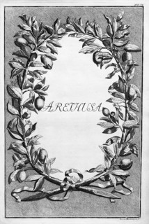 Arethusa, wreath of lemon branches with citrus fruits, title page, copper engraving or copper