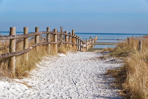 Landscape in the Western Pomeranian Lagoon Area National Park, core zone. Prerow,