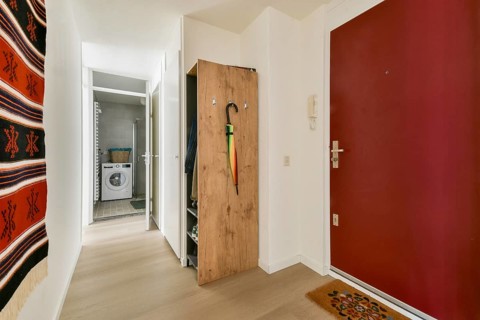 A contemporary entrance hall showcasing a striking color palette, functional storage solutions, and