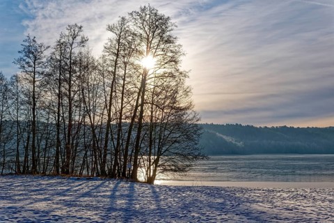 There is snow on the shore and the sun shines through the bare winter trees on Lake Werbellin in