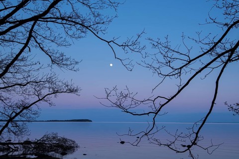 Moonrise on the lagoon on Rügen, Rügen, Glowitz, Mecklenburg-Western Pomerania, Germany