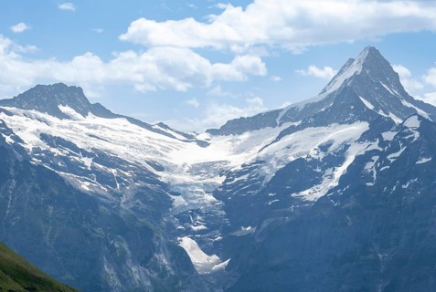 Upper Grindelwald Glacier and Schreckhorn Summit, Bernese Alps, Bernese Oberland, Switzerland