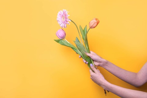 A pair of woman hands gracefully holds a vibrant bouquet of tulips and daisies against a bright