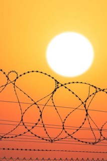 Symbolic image imprisonment, barbed wire fence in front of the sun, sunset, protective fence,