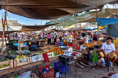 A lively market with various fruit stands under shady tents, full of people and exotic fruits,