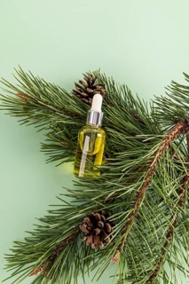 Top view of a coniferous setup featuring an essential oil dropper bottle surrounded by pine