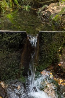 Black water spring near Jonsdorf, Zittau Mountains, Saxony, Germany