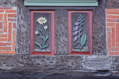 Wood carvings with arnica and red thimble, flower figures, historic half-timbered house,