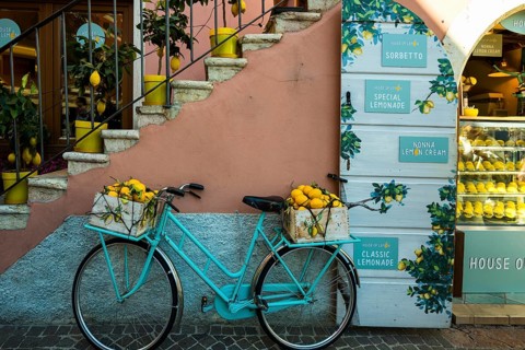 Bicycle and lemons, Limone sul Garda, Lake Garda, Brescia Province, Lombardy Region, Italy