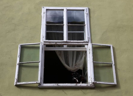 Open window, small cat sitting in the window frame, wooden window, old town of Sighi?oara,