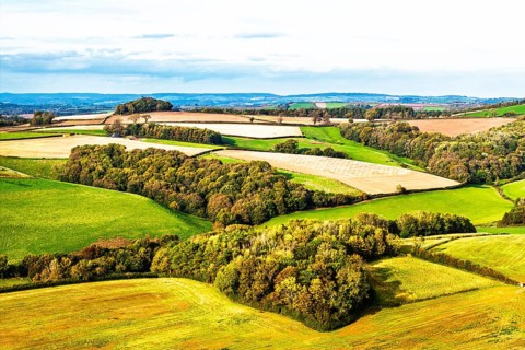 Colours of Devon Farms and Fields over Paignton and Berry Pomeroy from a drone, Totnes, England,