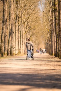 Pedestrians with prams on a tree-lined avenue, Schwetzingen Palace Gardens, Germany