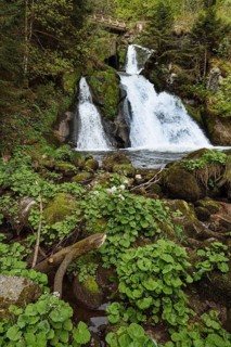 Triberg Waterfalls, Triberg, Black Forest, Baden-Württemberg, Germany