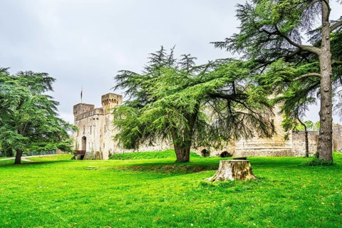 Caldicot Castle, Caldicot, Monmouthshire, Wales, UK