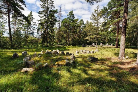 Ship setting at Rannarve in a forest clearing, several stone settings in a row, grave marker,