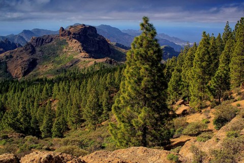 Canary Islands, Gran Canaria, Roque Niblo, View, Gran Canaria, Canary Islands, Spain