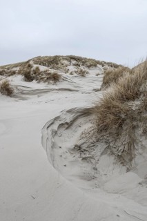 Dune landscape, Amrum, Schleswig-Holstein, Germany