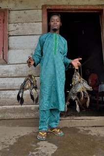 Frog catcher with live Goliath frogs (Conraua goliath), largest frog in the world, Kolla in