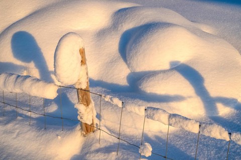 Snowy pasture fence with shadow casting, Alm Övre Kvebergsvangan, Alvdal, Hedmark, Innlandet,