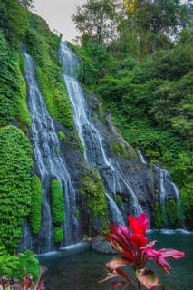 Banyumala twin waterfalls, club lily (Cordyline fructosia), tropical plant, flower, red, waterfall,