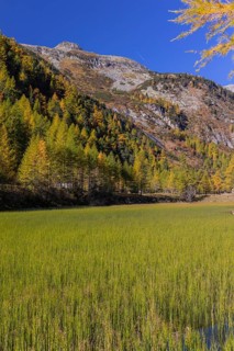 Little pond of the Malta river with a mountain forest in fall foliage on a bright sunny morning.