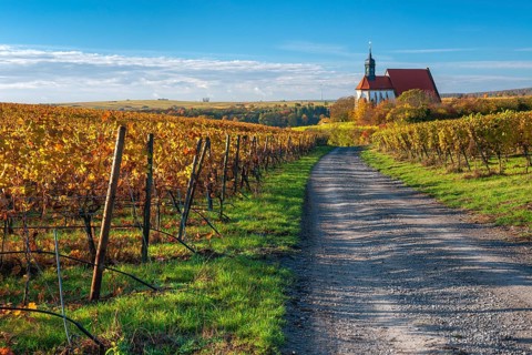 Hiking trail to the pilgrimage church of Maria im Weingarten in autumn, colorful leaves in the