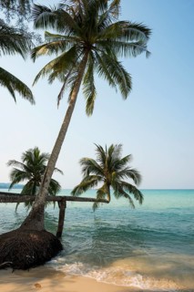 Sandy beach beach with coconut palms, Khlong Chao Beach, Koh Kood, Koh Kut, Gulf of Thailand,