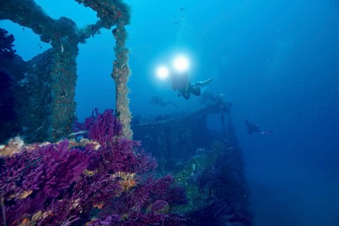 A mysterious shipwreck surrounded by corals, Violescent sea-whip (Paramuricea clavata), is explored