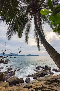 Wild beach with surf on the coast facing the Indian Ocean. Palm trees and high waves at sunset.