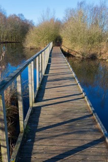 Bridge, De Deelen, landscape conservation area, nature reserve, Luinjeberd, Lúnbert, Heerenveen,