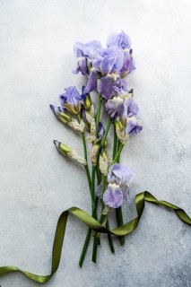 Top view of a bouquet of delicate iris flowers paired with a green ribbon, artistically arranged on