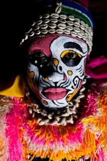 Portrait of a Zimba performer Gambia . Zimba dancers dress like a lion. While performing, they