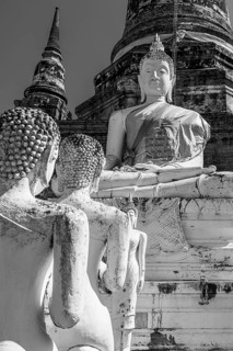 Stone Buddha statues, historic Buddhist temple complex, black and white photo, Ayutthaya, Thailand