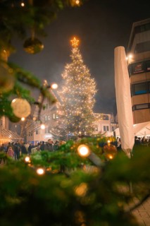 Illuminated Christmas tree with green branches in a nocturnal scene, Christmas market, Nagold,
