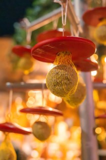 Warm festive decor with red and yellow tones, illuminated by lights, Christmas market, Nagold,