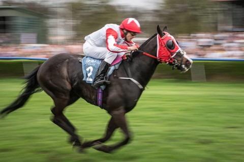 WROCLAW, POLAND - APRIL 15, 2018: Student race at horses racecourse WTWK Partynice. The opening day