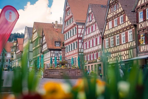 Lively street scene with flowers and half-timbered houses, an information sign in the foreground,