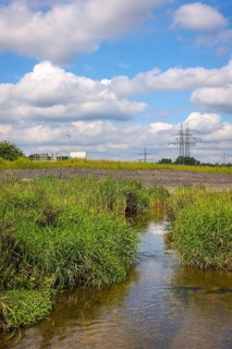 Bottrop, North Rhine-Westphalia, Germany - Renaturalised Boye, the tributary of the Emscher, was