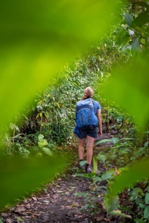 Tourist exploring rainforest, dense vegetation, Tortuguero National Park, Costa Rica