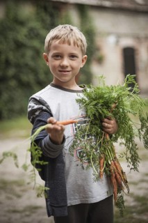 Young boy with fresh carrots in the country yard