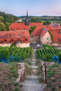 Vineyards at the baroque castle Seußlitz, Diesbar-Seußlitz, Saxony, Germany