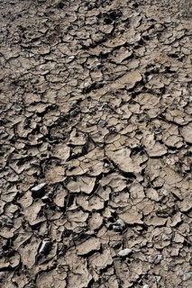 Dry puddle