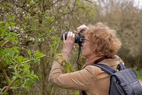 Woman photographing blossoms, waterfront, Stratford-upon-Avon, England, Great Britain