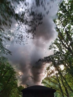 A historic steam locomotive produces a large cloud of smoke and drives through a wooded landscape,