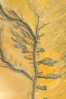 Aerial view of fractal-like mud textures creating intricate patterns reminiscent of tree branches.